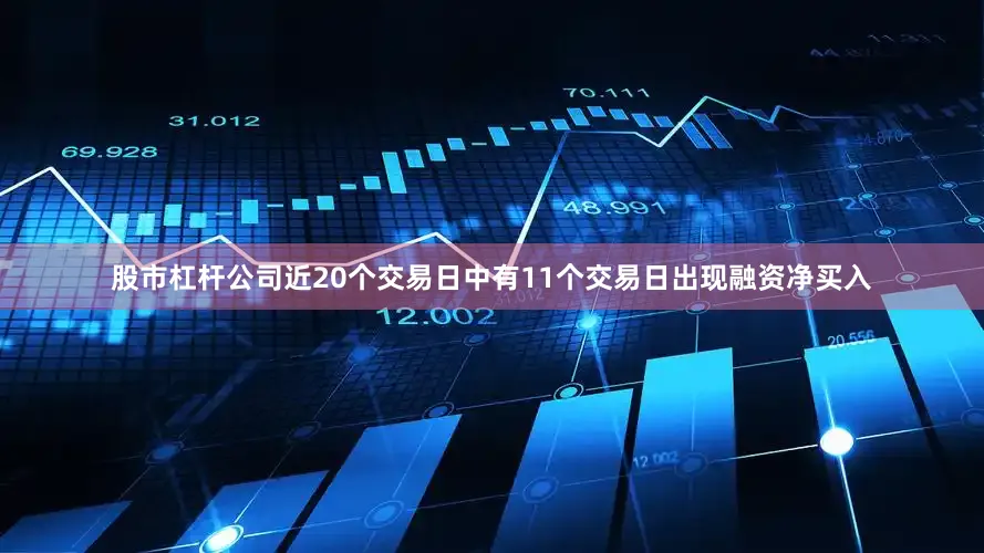 股市杠杆公司近20个交易日中有11个交易日出现融资净买入